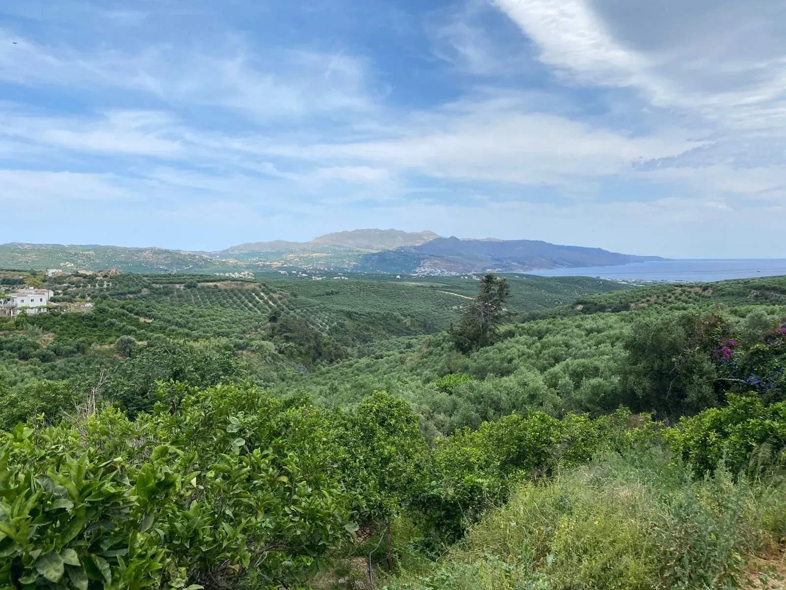 Land plot with old house in Kalithea